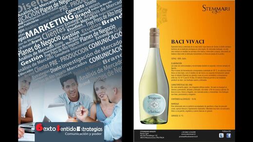 Marketing & Estrategia — Brochure corporativo